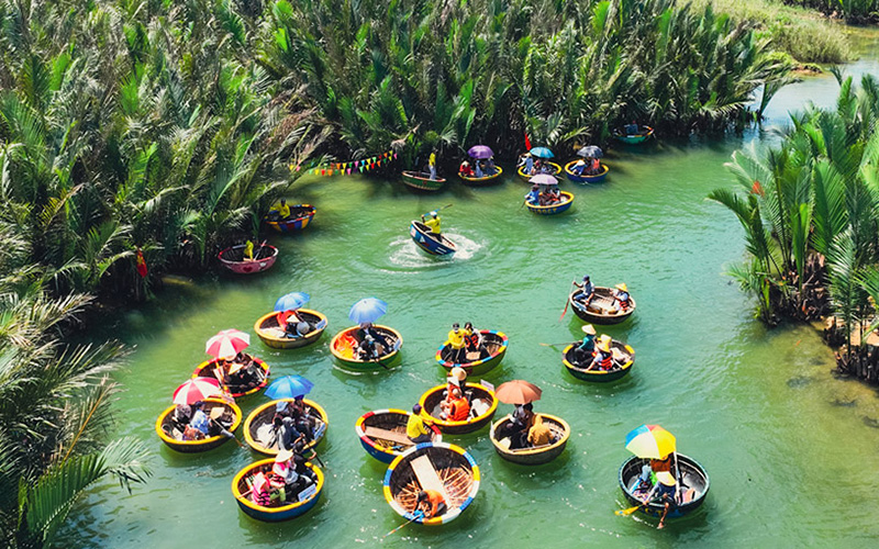 Bay Mau Coconut Forest